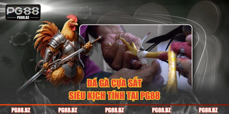 Đá gà cựa sắt siêu kịch tính tại PG88